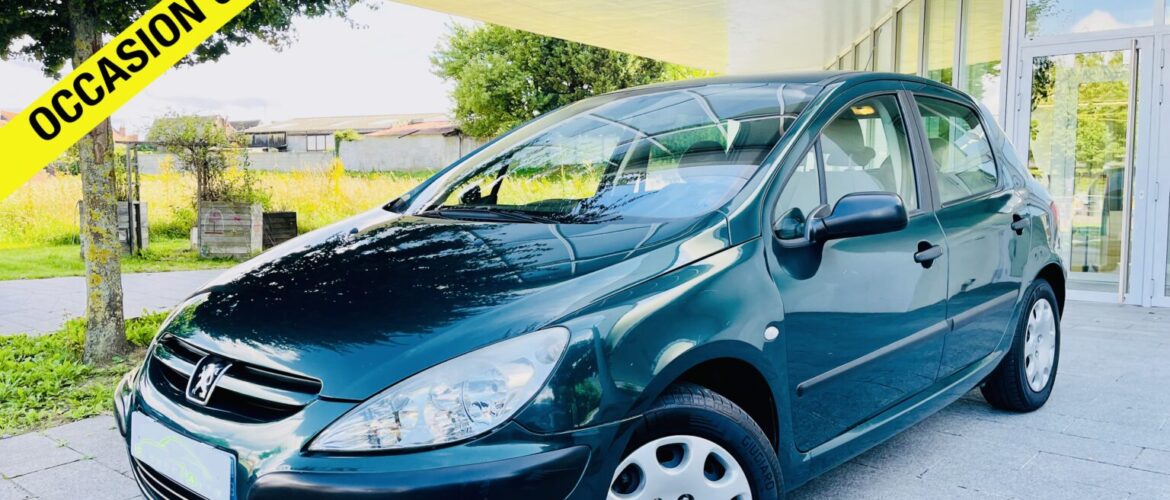 499 ⚠️VENDUE⚠️ PEUGEOT 307 1.6 ESSENCE BOITE AUTO 2002 / 101,456 KM