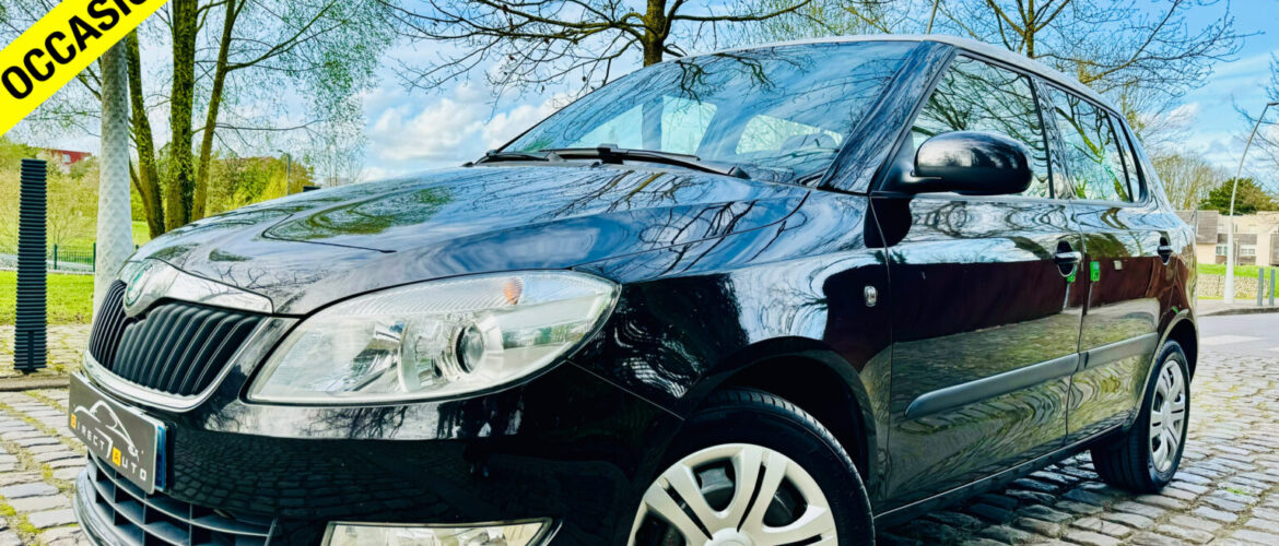 499 ⚠️VENDUE⚠️  SKODA FABIA 1.2 TDI 75 / 2011 / 143,329 KM CLIM