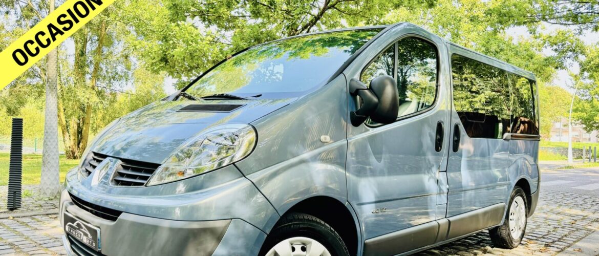 ⚠️VENDUE⛔️ RENAULT TRAFIC TPMR 7 PLACES 2.0 DCI 115 CV 2010 130,477 km
