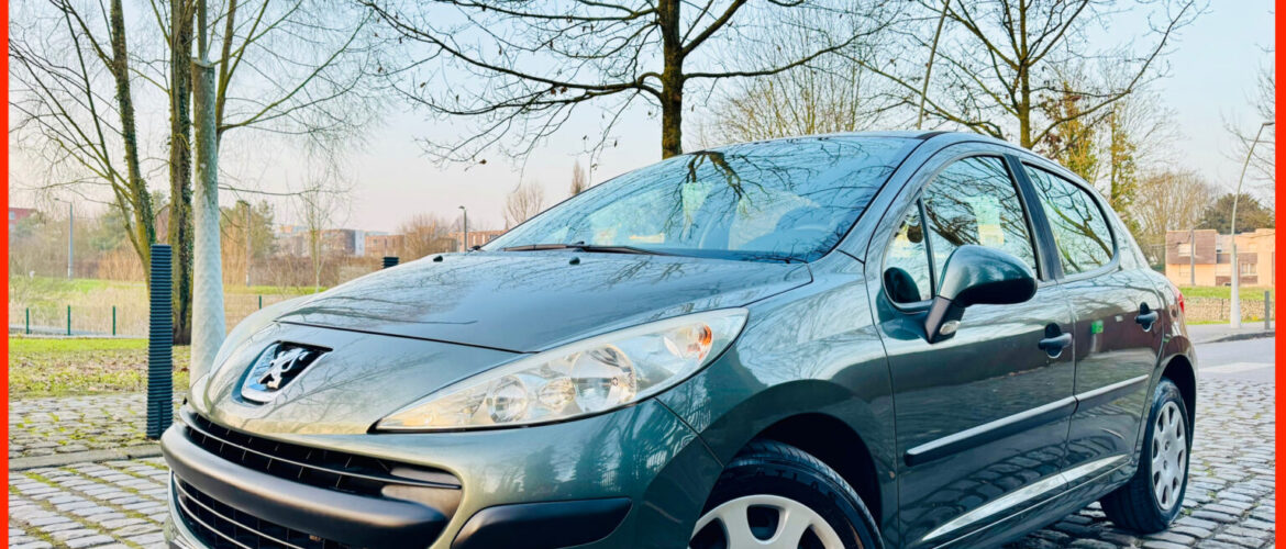 ⚠️VENDUE⚠️45 PEUGEOT 207 1,4 I / 2009 / 100,901 KM