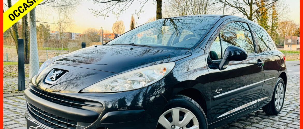 PEUGEOT 207 1,4 i 75cv 2009 / 114,059 Km