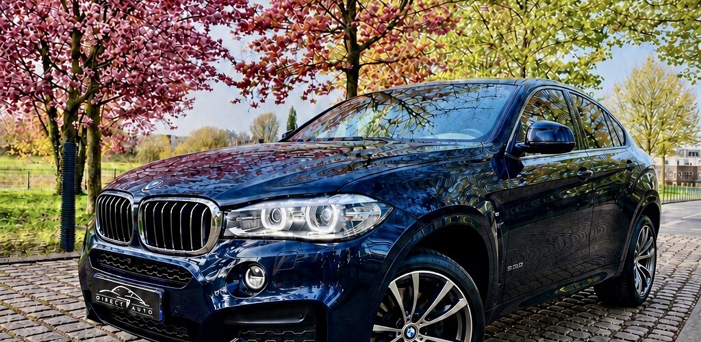 BMW X6 / 3,0 D xdrive 40d 313 CV 2015 / 164,663 km
